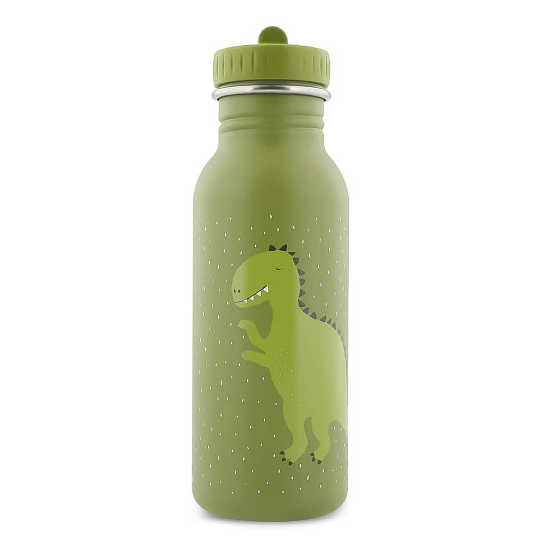 Botella Mr. Dino 500ml