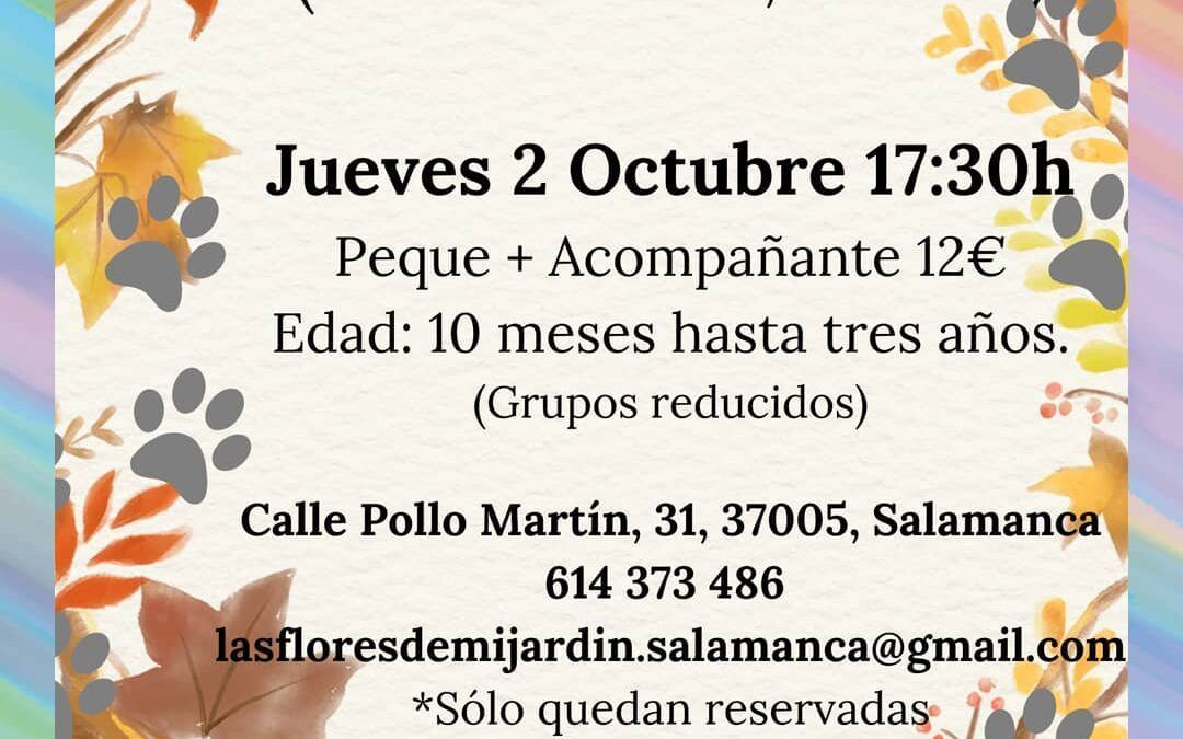 Cuentacuentos ¿A dónde va osito?