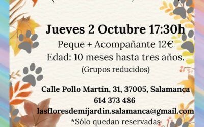 Cuentacuentos ¿A dónde va osito?